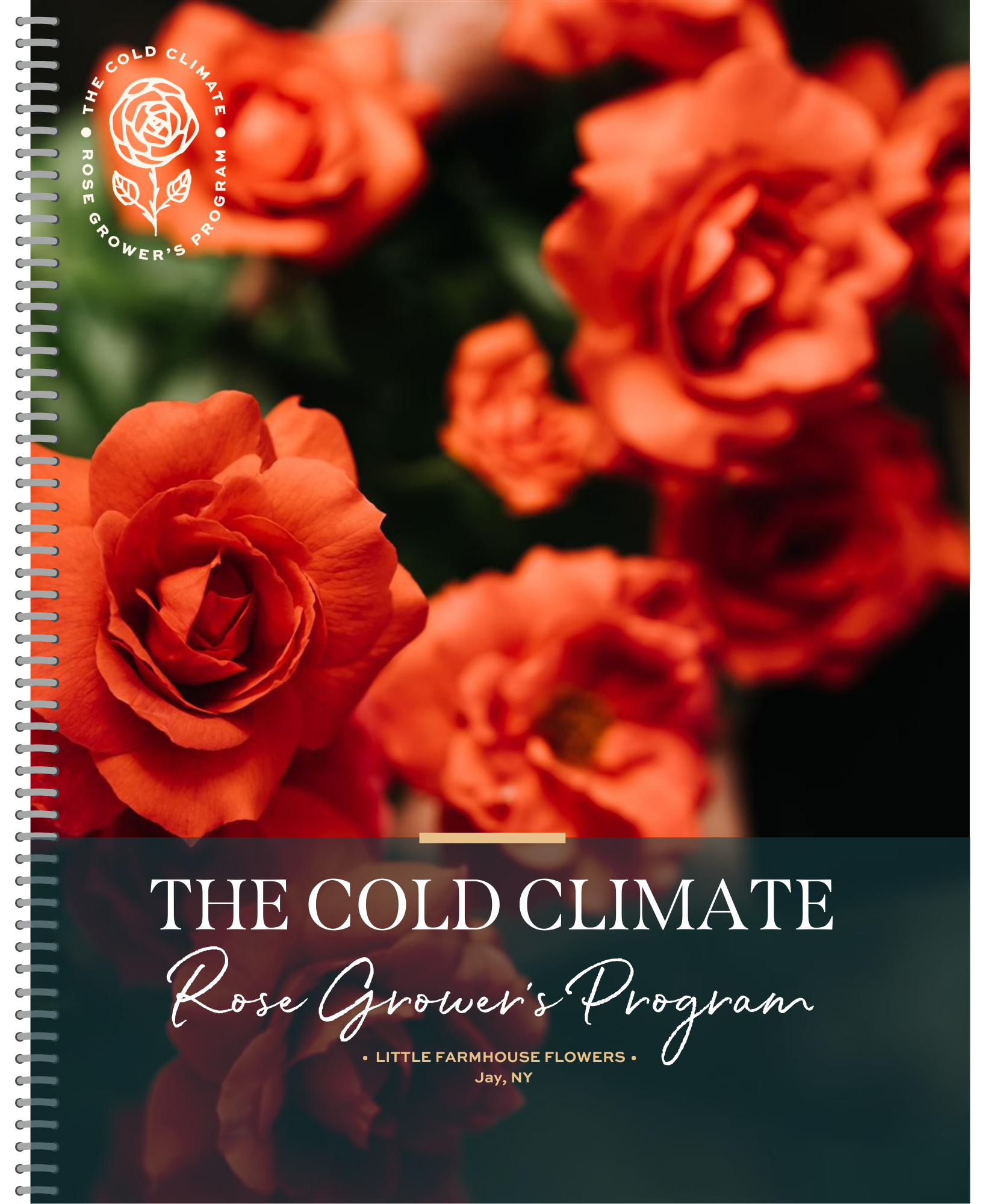 Cold Climate Roses | Grow Resilient Roses Today — little farmhouse